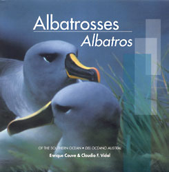 Albatrosses Of The Southern Ocean (Albatros del Ocano Austral)