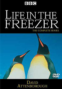 Life In The Freezer