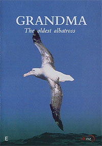 Grandma - The Oldest Albatross