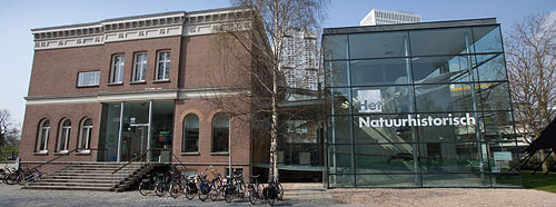 The 'Nomads Of The Ocean' are now exhibited in the Rotterdam Natural History Museum. (Photo: LEXsample)